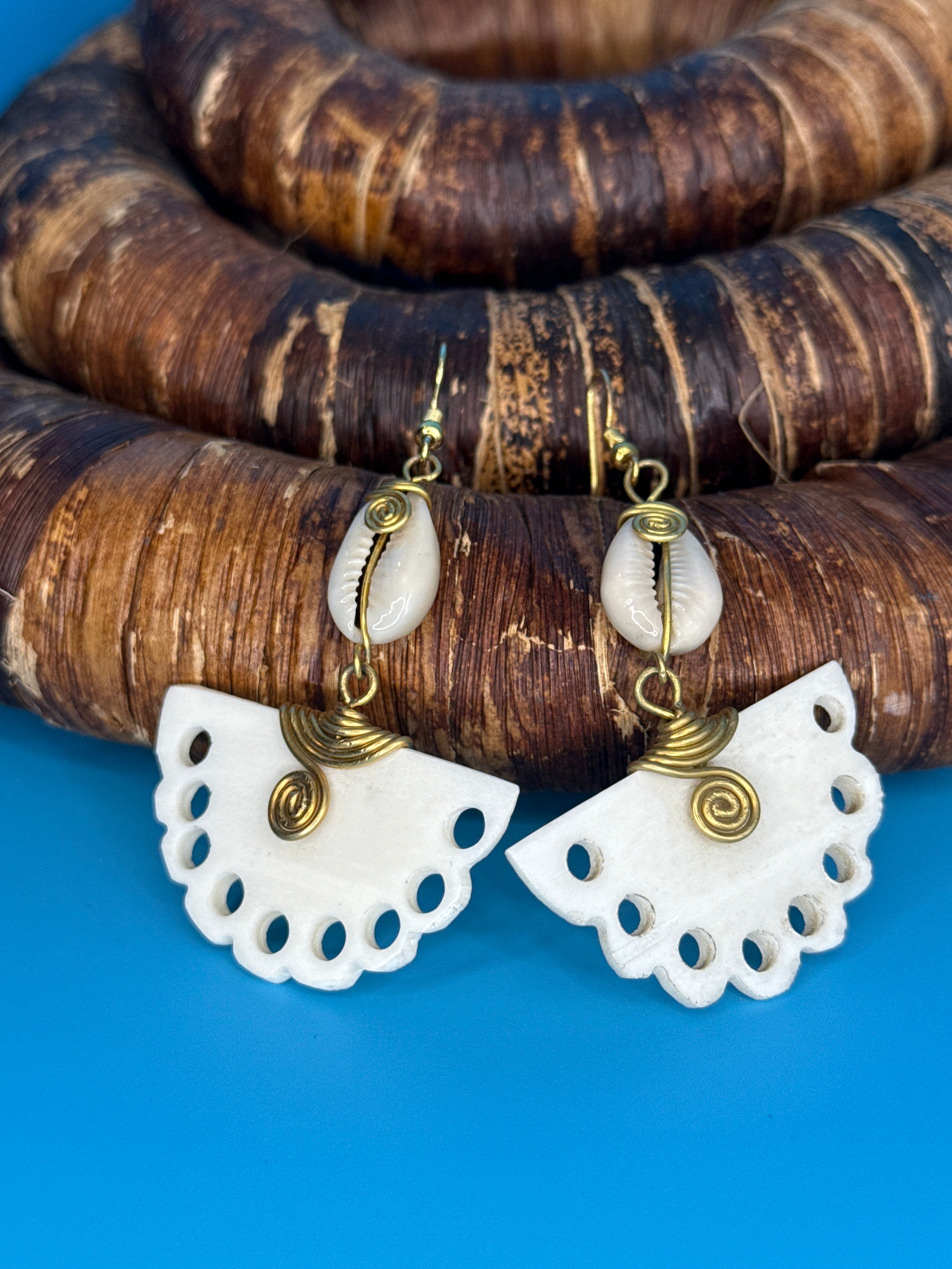 Lace Cowrie