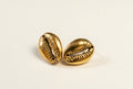 Cowrie Studs